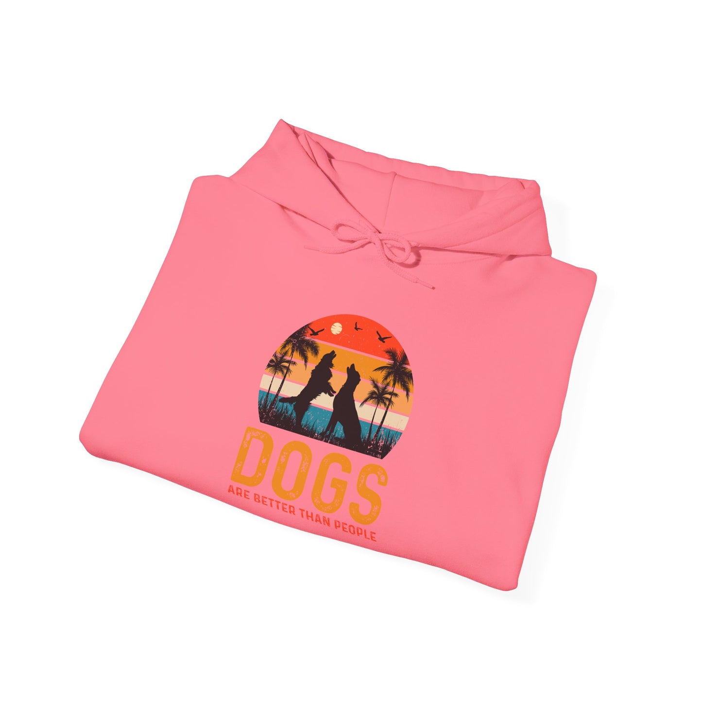 Dogs Are Better Than People Unisex Hoodie