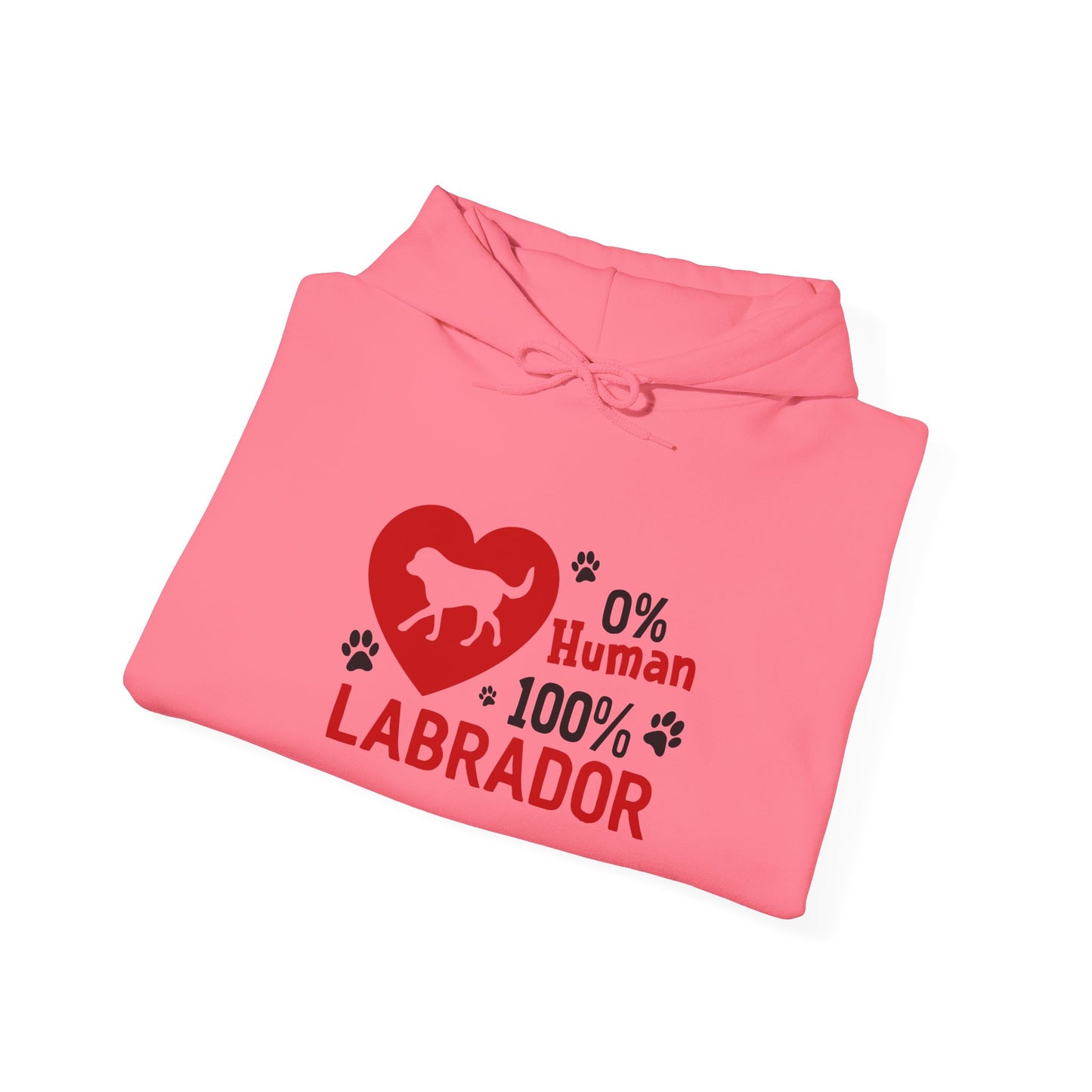 0% Human 100% Labrador Unisex Hoodie