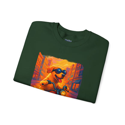 Labrador Cool Rider Sweatshirt – Sunglasses & Speed Style