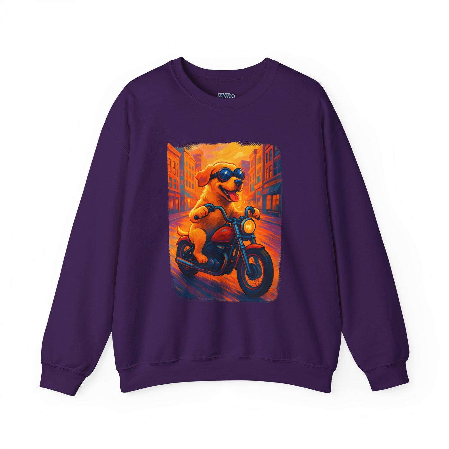 Labrador Cool Rider Sweatshirt – Sunglasses & Speed Style