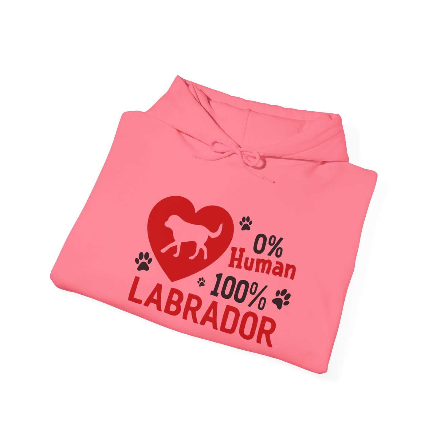 Labrador All The Way Unisex Hoodie – Zero Human, All Dog Energy