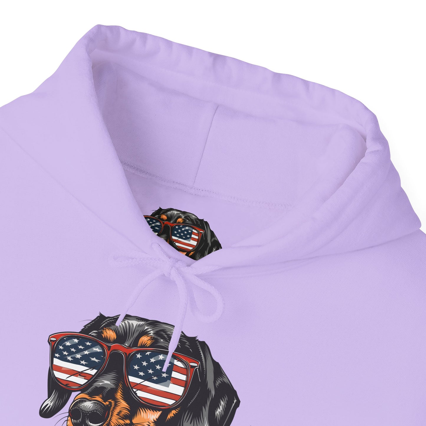 Patriotic Dachshund Dog Unisex Hoodie With Sunglasses