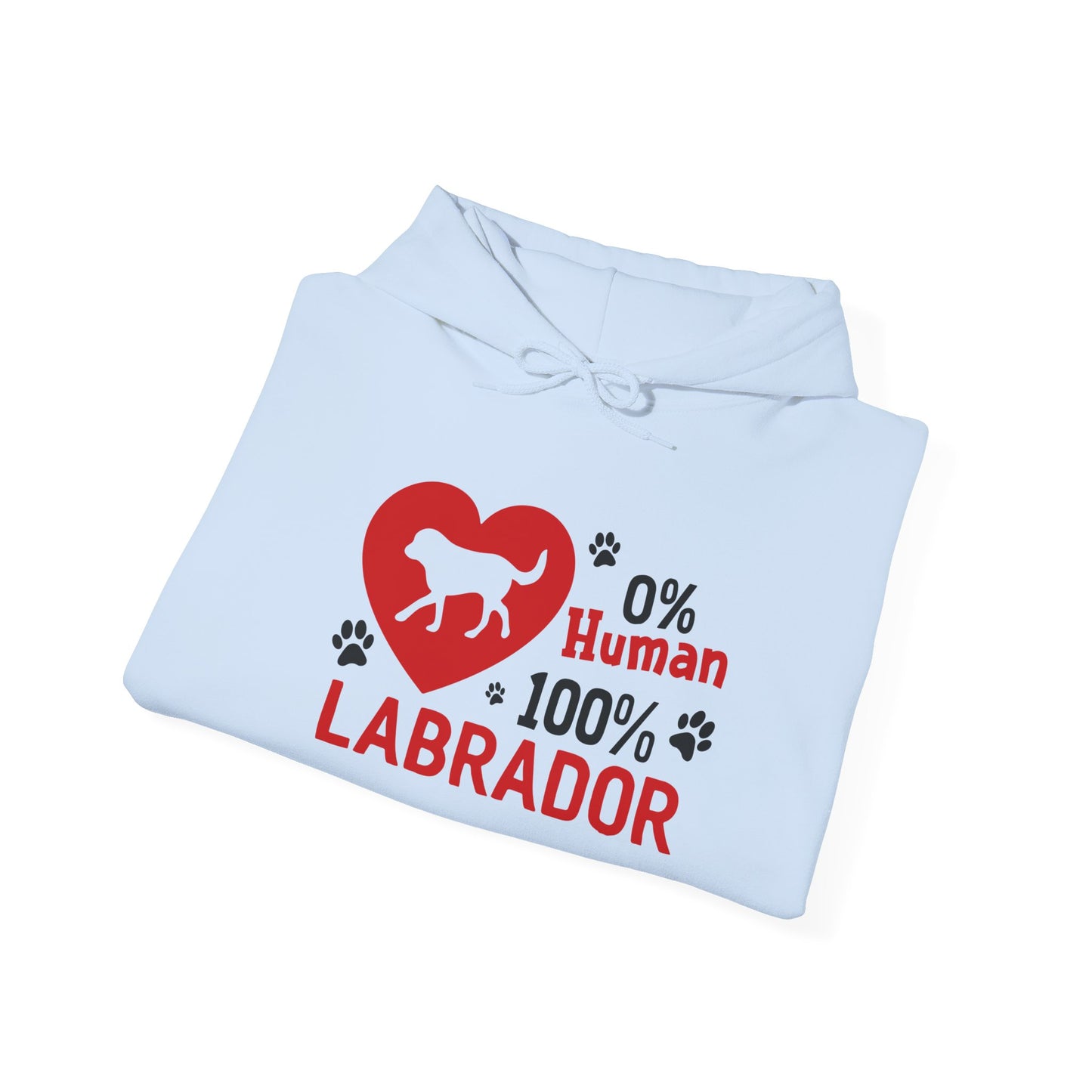Labrador All The Way Unisex Hoodie – Zero Human, All Dog Energy