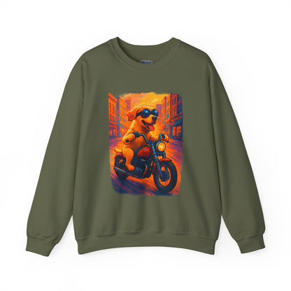 Labrador Cool Rider Sweatshirt – Sunglasses & Speed Style