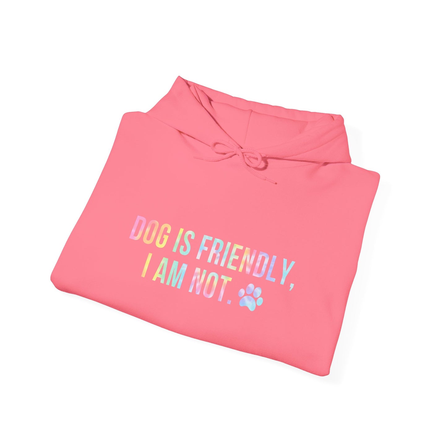 Dog Is Friendly I'm Not Unisex Hoodie | Funny Dog Apparel