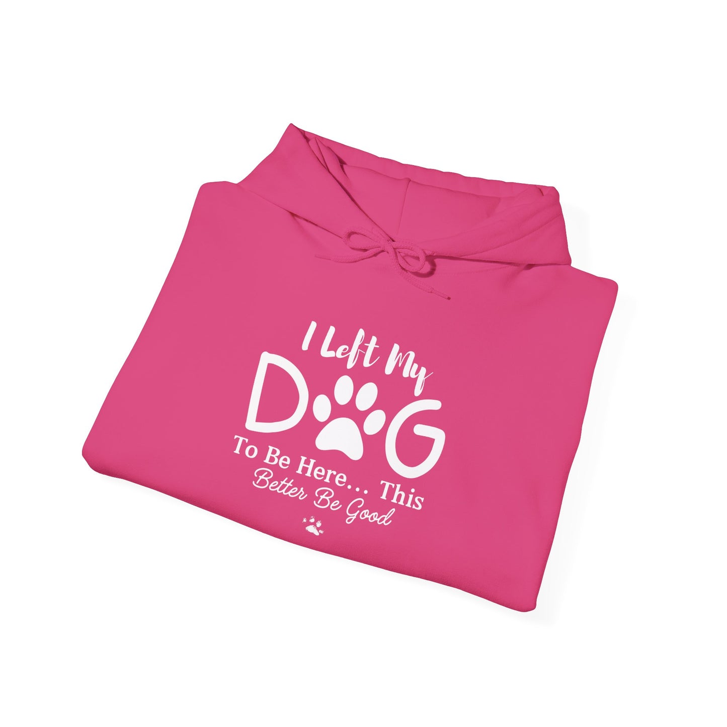 I Left My Dog To Be Here, This Better Be Good Dog Lover Hoodie