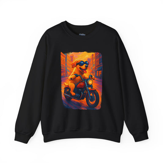 Labrador Cool Rider Sweatshirt – Sunglasses & Speed Style