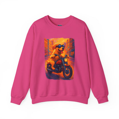 Labrador Cool Rider Sweatshirt – Sunglasses & Speed Style