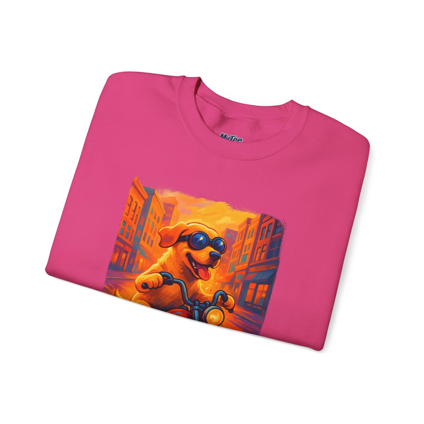 Labrador Cool Rider Sweatshirt – Sunglasses & Speed Style