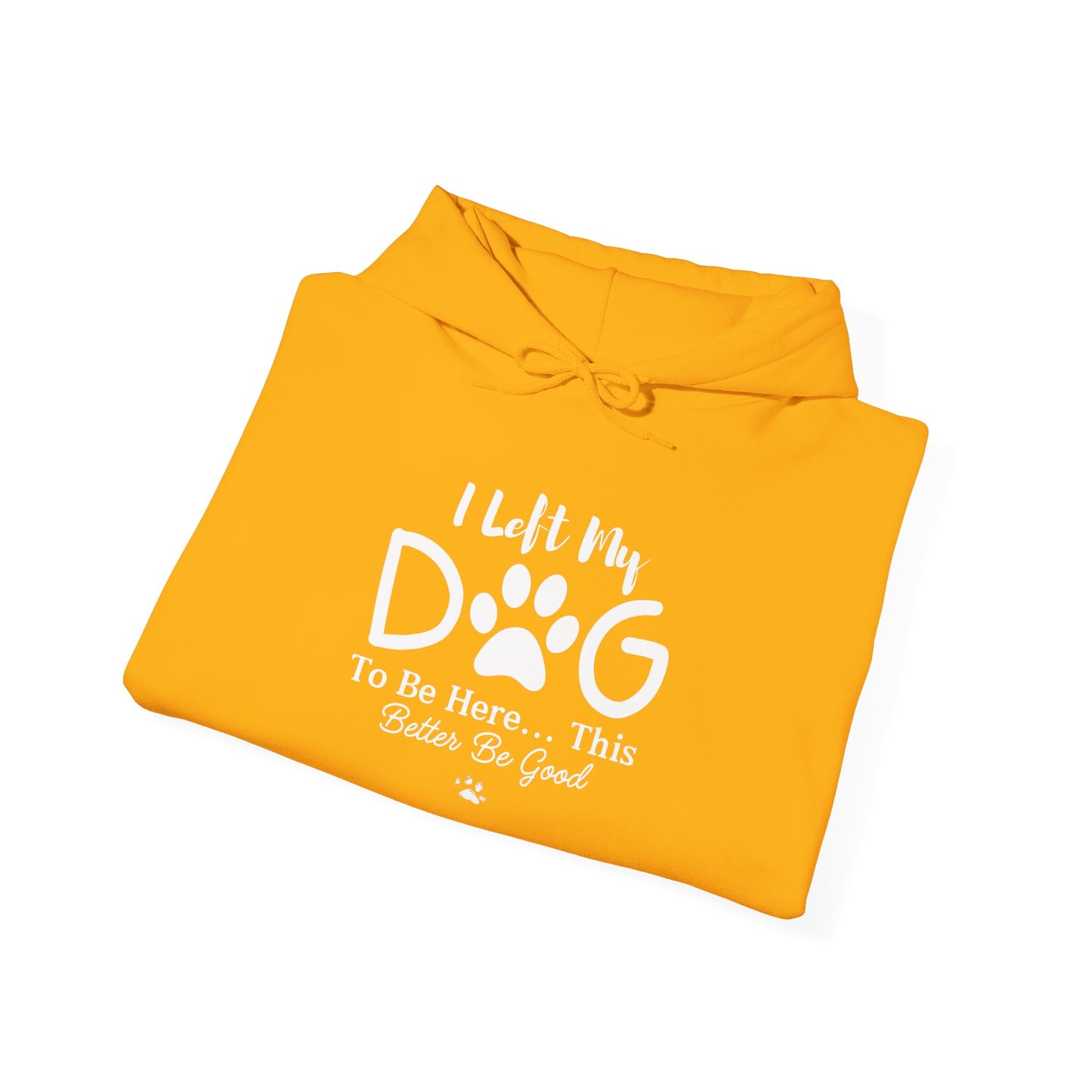 I Left My Dog To Be Here, This Better Be Good Dog Lover Hoodie