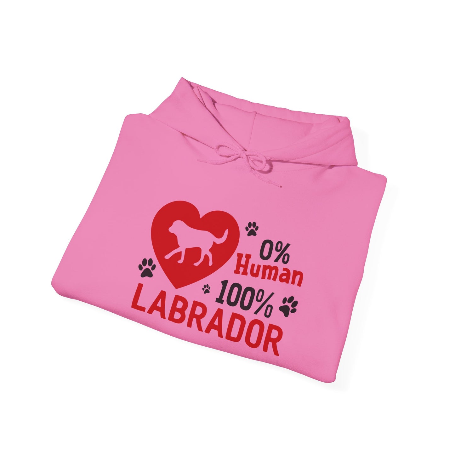 Labrador All The Way Unisex Hoodie – Zero Human, All Dog Energy