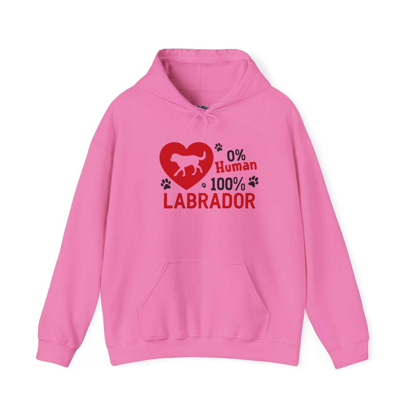 Labrador All The Way Unisex Hoodie – Zero Human, All Dog Energy