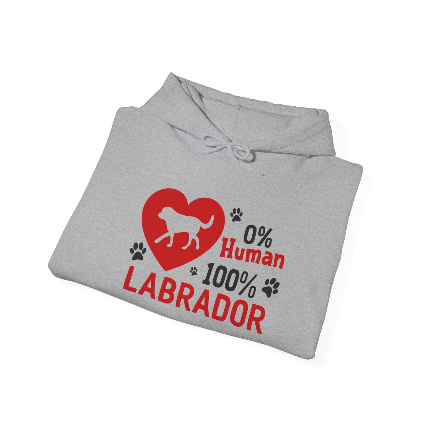 Labrador All The Way Unisex Hoodie – Zero Human, All Dog Energy