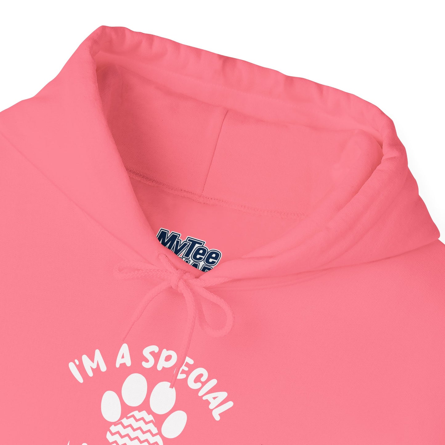 I’m a Special Kind of Special Unisex Hoodie- One Paw Above The Rest