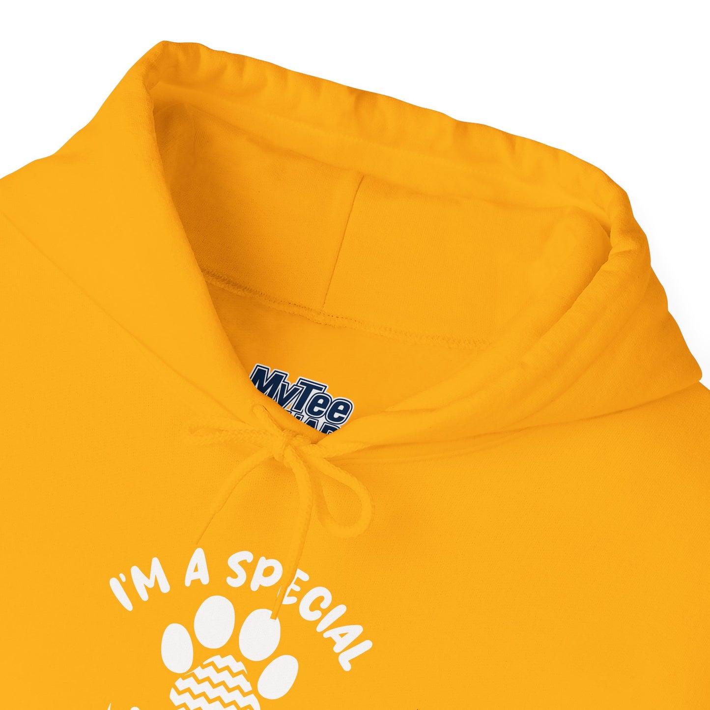 I’m a Special Kind of Special Unisex Hoodie- One Paw Above The Rest