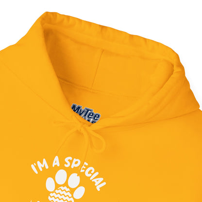 I’m a Special Kind of Special Unisex Hoodie- One Paw Above The Rest