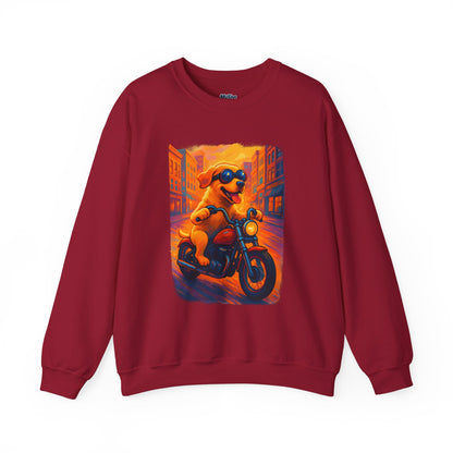 Labrador Cool Rider Sweatshirt – Sunglasses & Speed Style