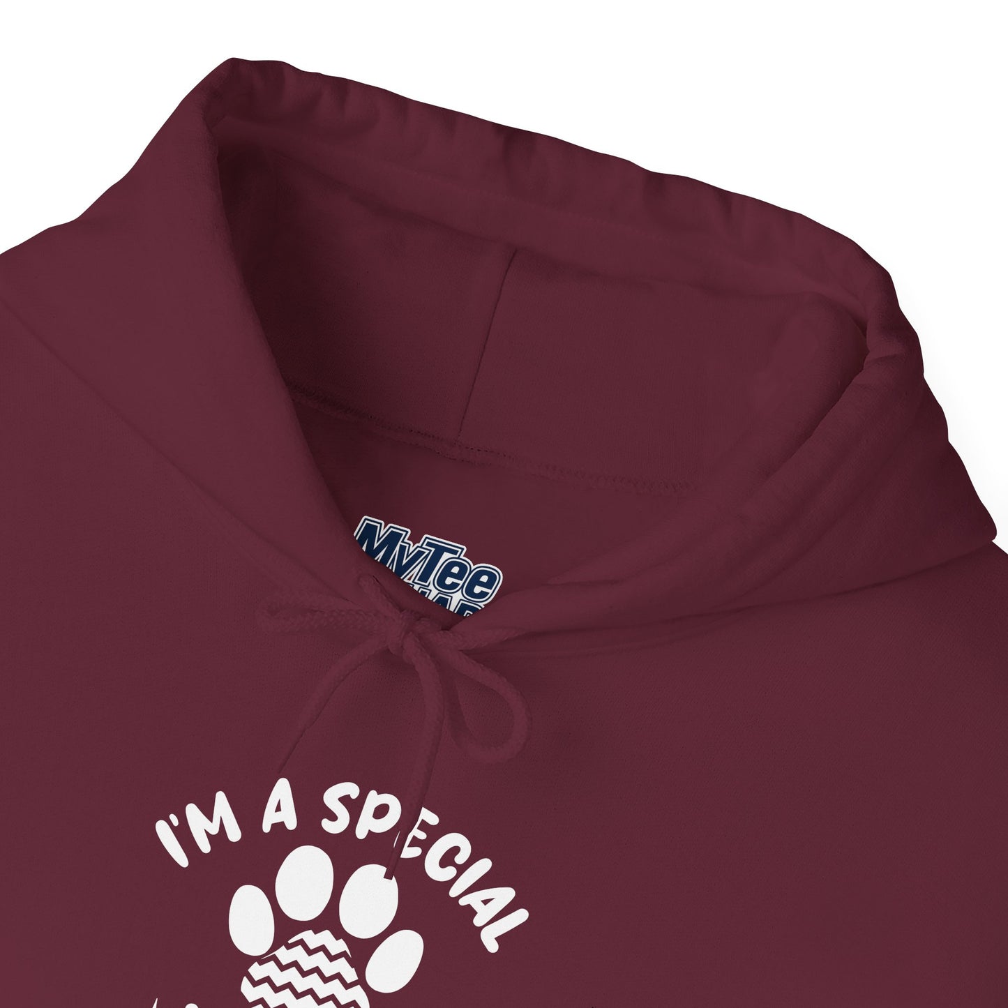 I’m a Special Kind of Special Unisex Hoodie- One Paw Above The Rest