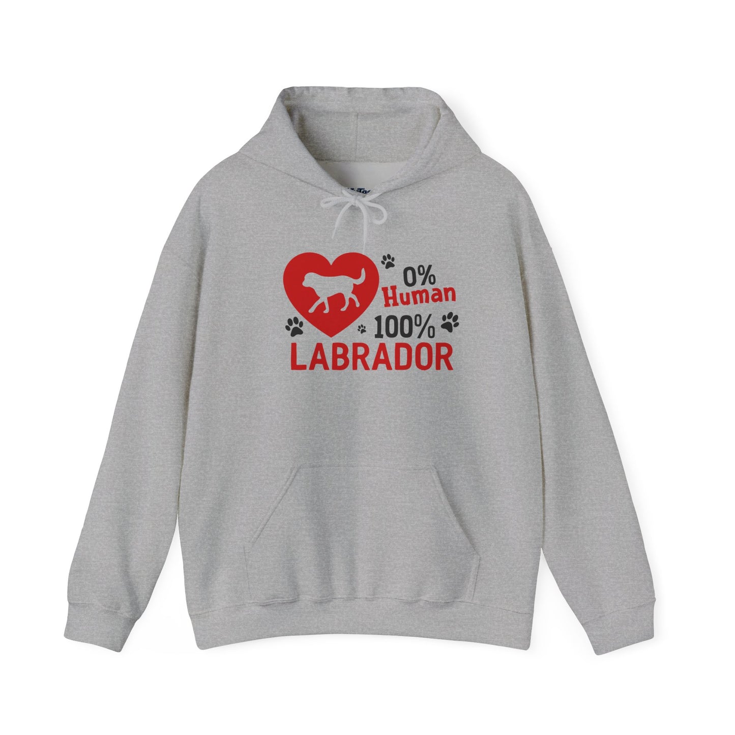 Labrador All The Way Unisex Hoodie – Zero Human, All Dog Energy