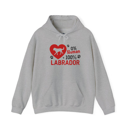 Labrador All The Way Unisex Hoodie – Zero Human, All Dog Energy