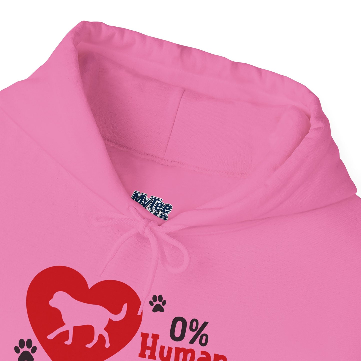 Labrador All The Way Unisex Hoodie – Zero Human, All Dog Energy