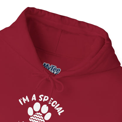 I’m a Special Kind of Special Unisex Hoodie- One Paw Above The Rest