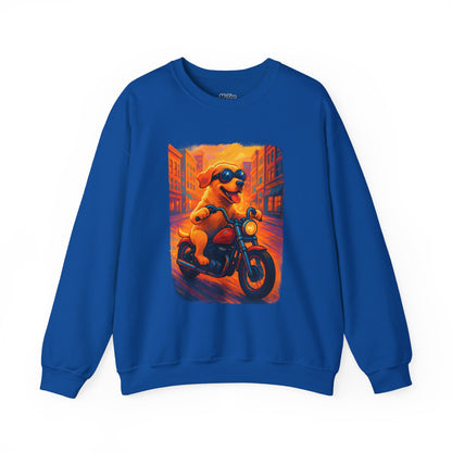 Labrador Cool Rider Sweatshirt – Sunglasses & Speed Style