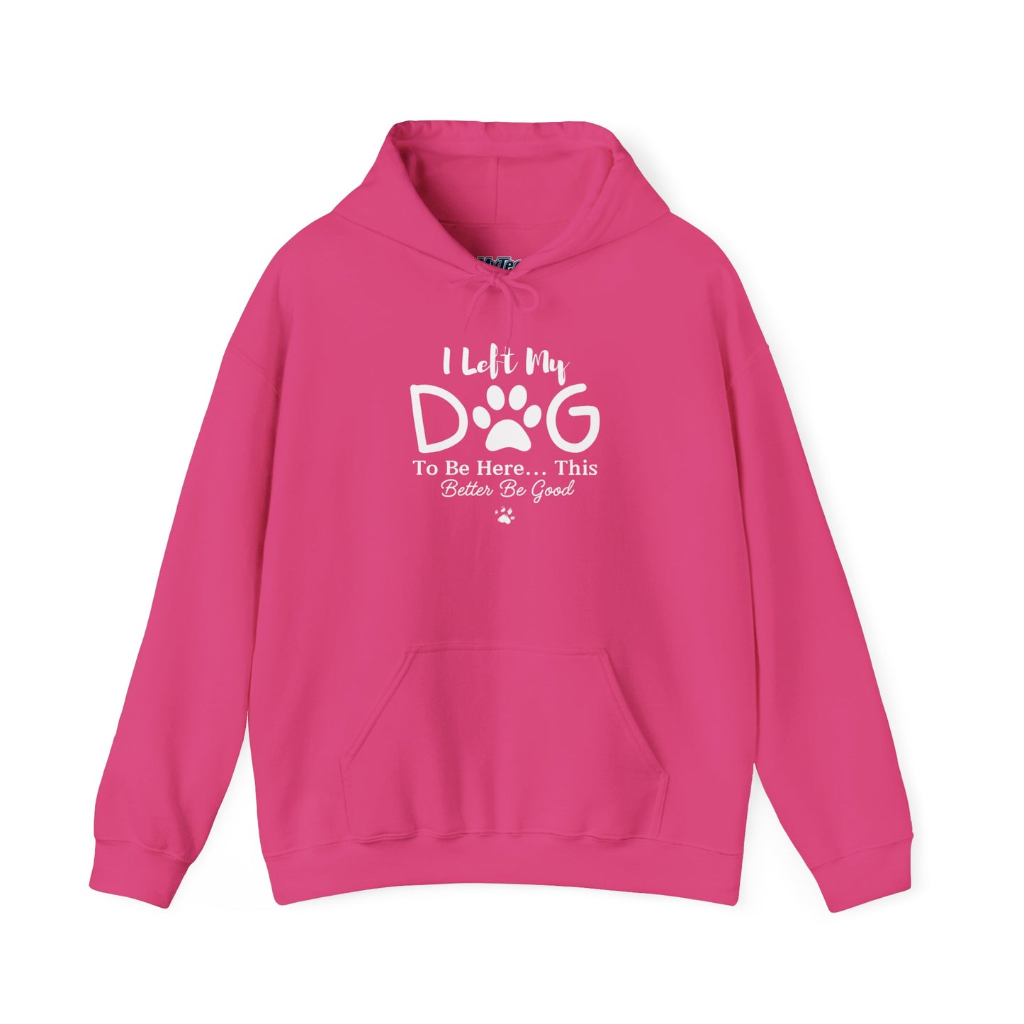 I Left My Dog To Be Here, This Better Be Good Dog Lover Hoodie