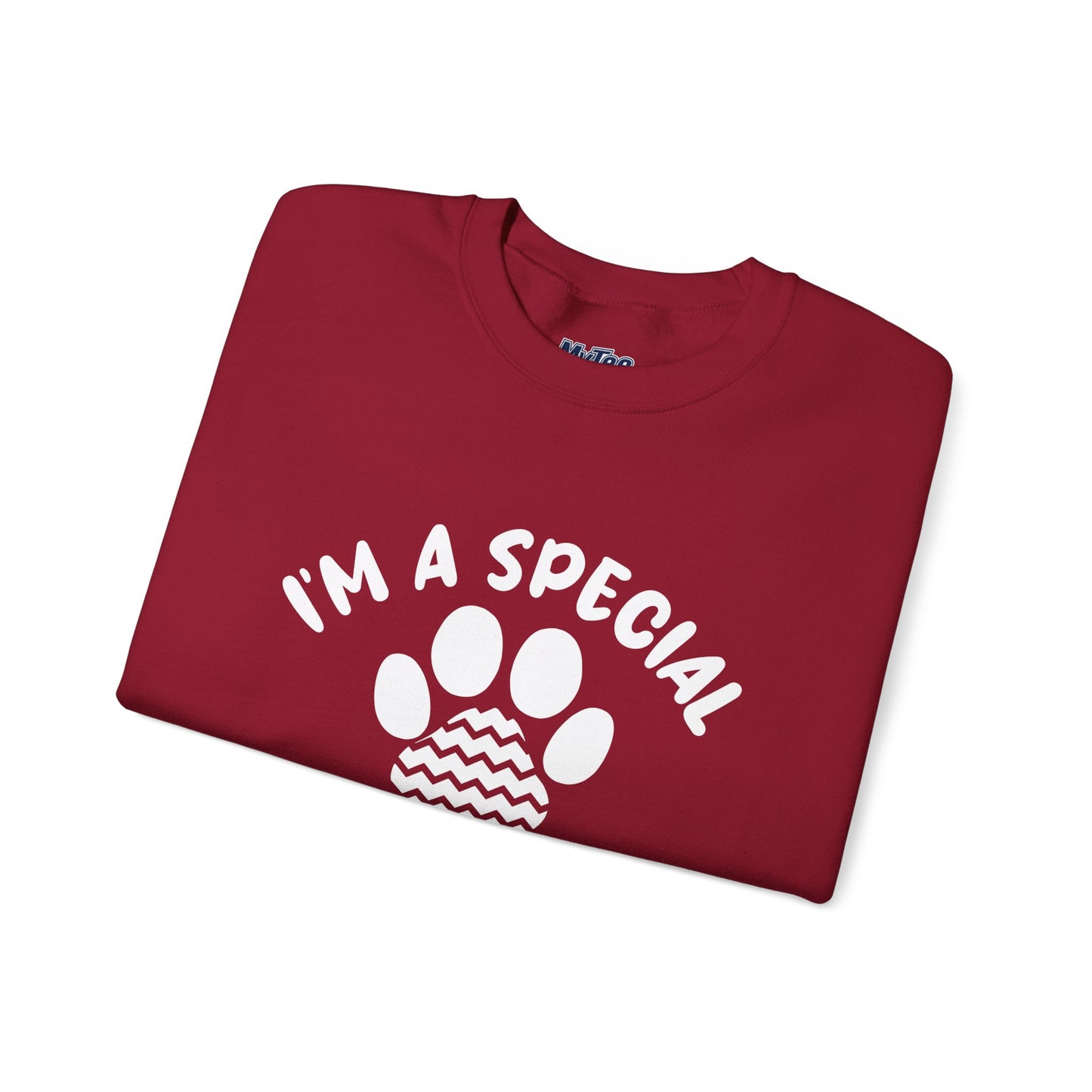 I’m A Special Kind Of Special Crewneck Sweatshirt – Dog Person Energy