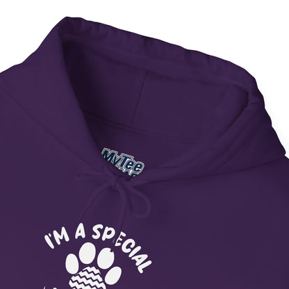 I’m a Special Kind of Special Unisex Hoodie- One Paw Above The Rest