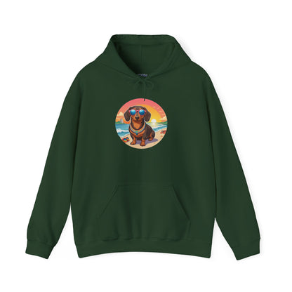Dachshund Lover's Sunset Unisex Hoodie