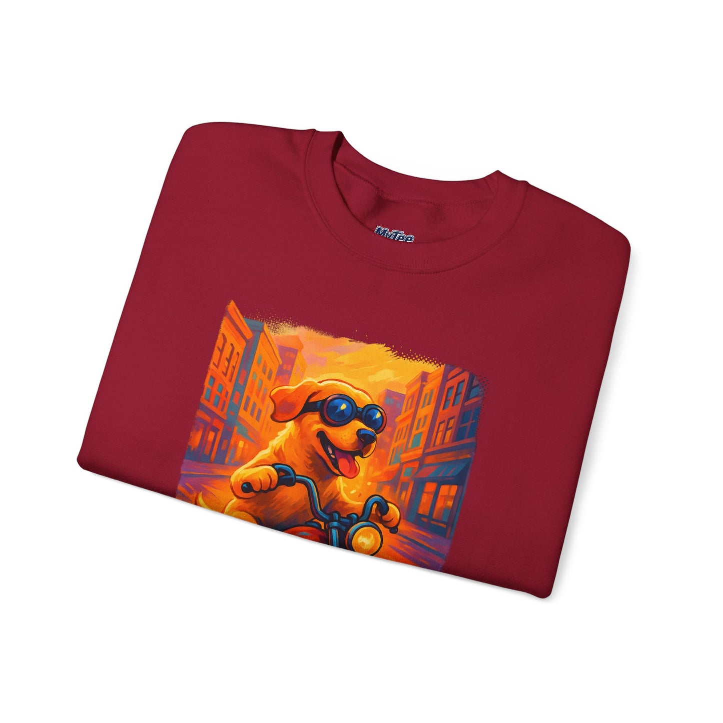Labrador Cool Rider Sweatshirt – Sunglasses & Speed Style