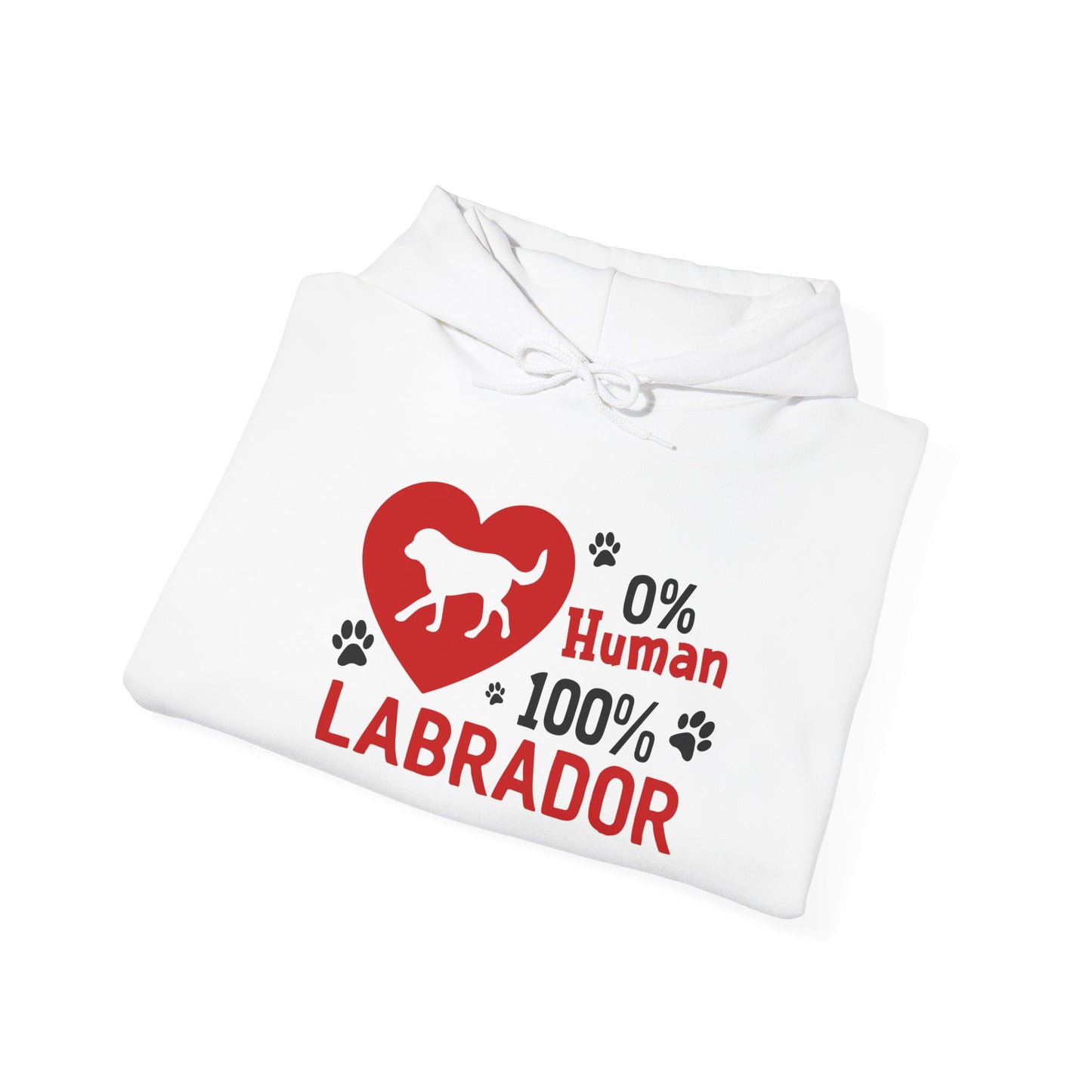 Labrador All The Way Unisex Hoodie – Zero Human, All Dog Energy