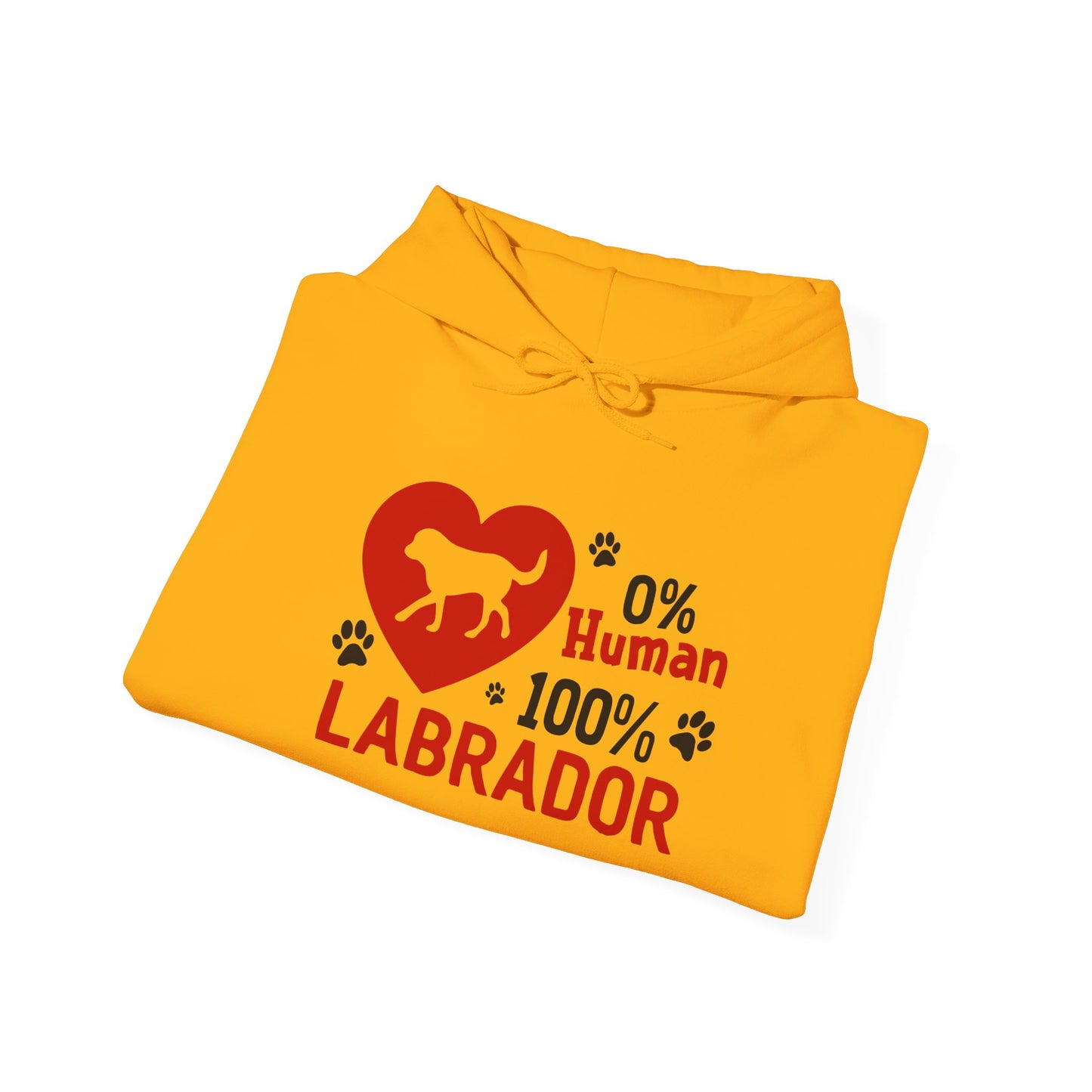 Labrador All The Way Unisex Hoodie – Zero Human, All Dog Energy