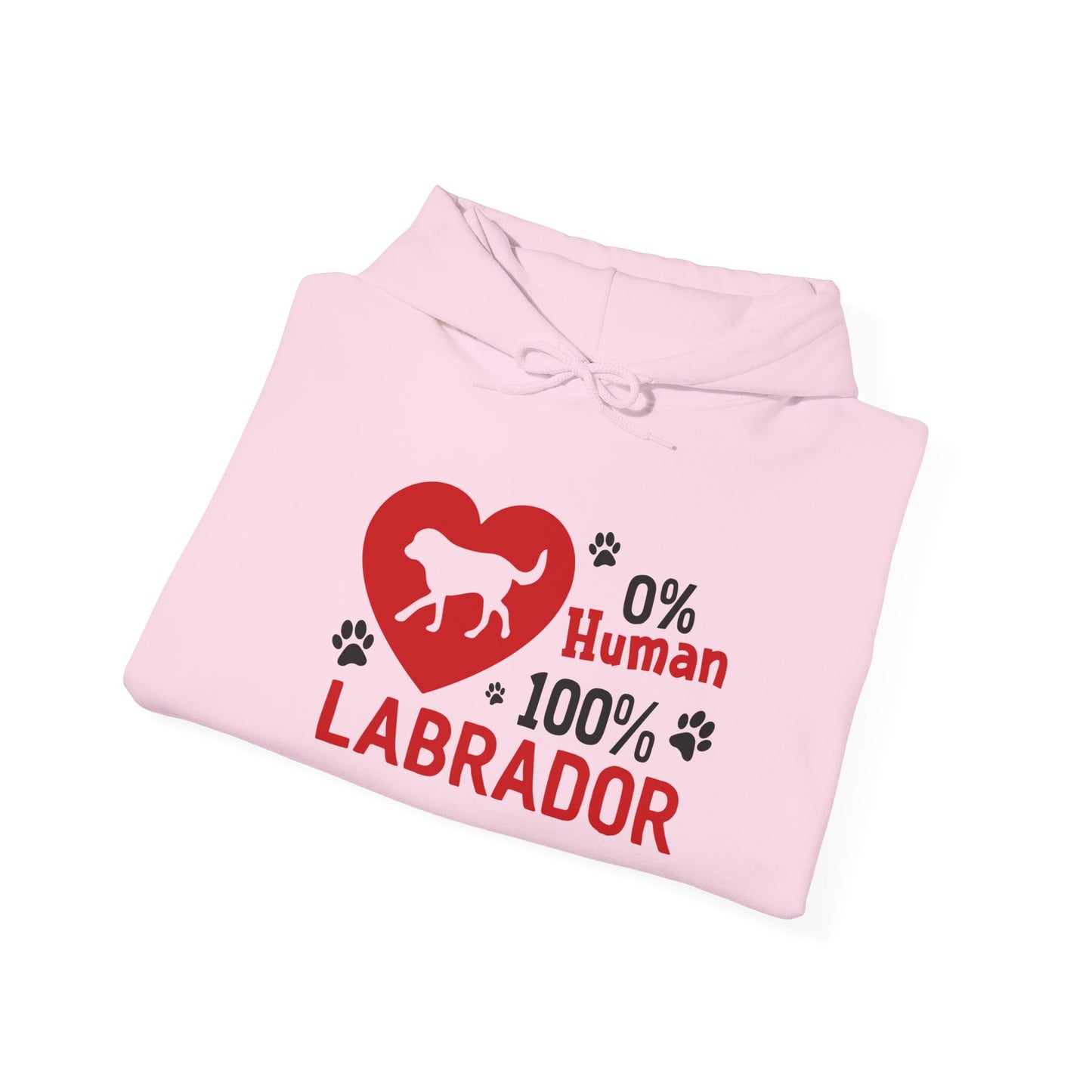 Labrador All The Way Unisex Hoodie – Zero Human, All Dog Energy